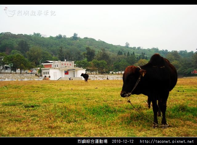 烈嶼綜合運動場_25.jpg