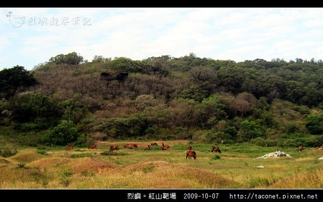 紅山靶場_07.jpg