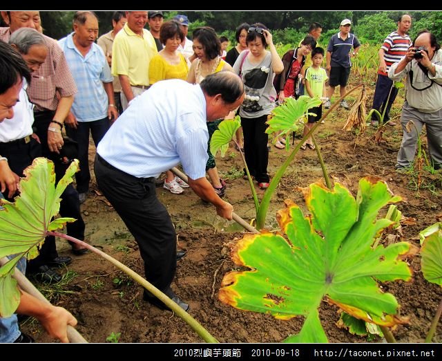 2010烈嶼芋頭節_06.jpg