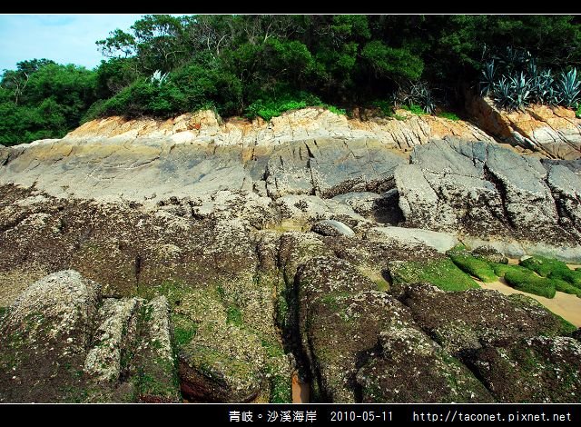 青岐。沙溪海岸_23.jpg