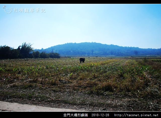 金門大橋烈嶼端_13.jpg