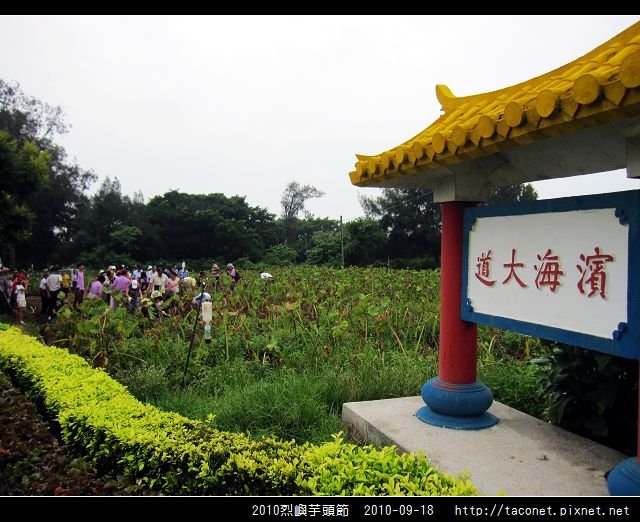 2010烈嶼芋頭節_08.jpg