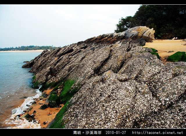 青岐。沙溪海岸_12.jpg