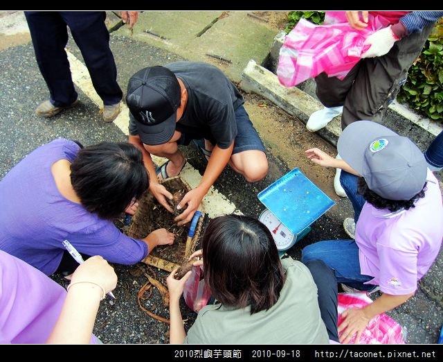 2010烈嶼芋頭節_09.jpg