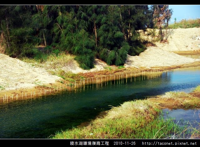 陵水湖環境復育_29.jpg