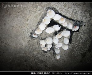 龍骨山老碉堡_鄭成功-37.jpg