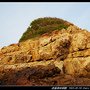 虎堡海岸景觀_41.jpg
