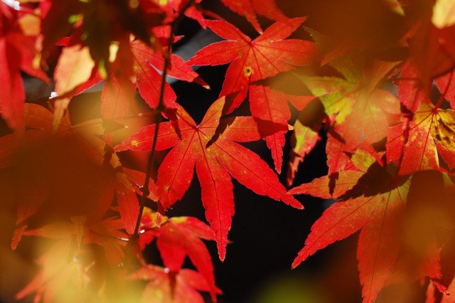 1023750_normal_f790d.jpg