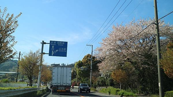 IMG_2357.jpg