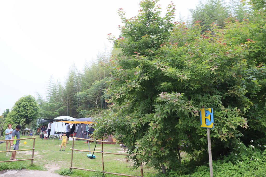 IMG_6997.jpg