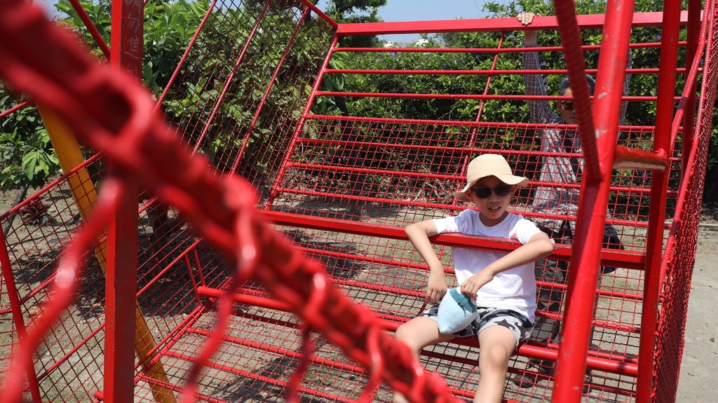 2025/05/02-04〈彰化台中輕旅行〉姥姥不老茶文創園