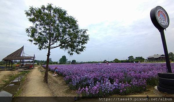 原來清邁還可以這樣玩:湄林Flower &amp; caf’e之旅