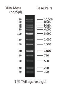 content_DM015-R500膠圖_靠左_-198x300.png