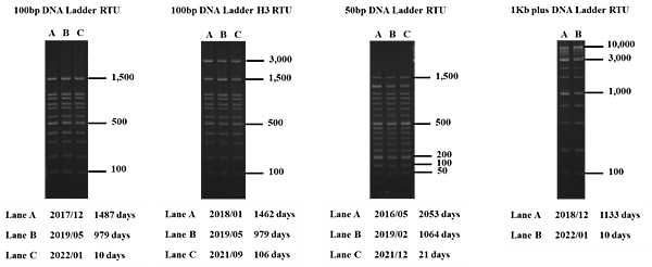 DNA MARKER.png