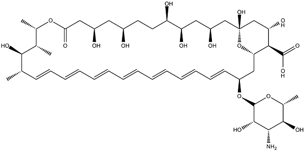 兩性黴素 B (Amphotericin B) CAS# 1397-89-3 APExBIO貨號B1885 1.png