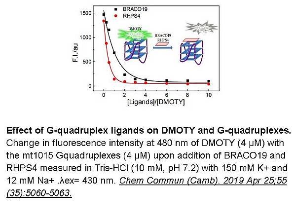 2 RHPS4n CAS#390362-78-4 APExBIO貨號B6186.jpg