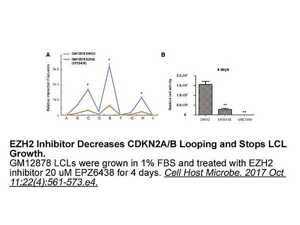 4 EPZ-6438 CAS#1403254-99-8 APExBIO  貨號A8221.jpg