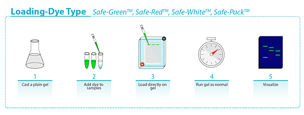 G108-W新型安全核酸染劑 Safe-White  Abmgood貨號G108-W.png