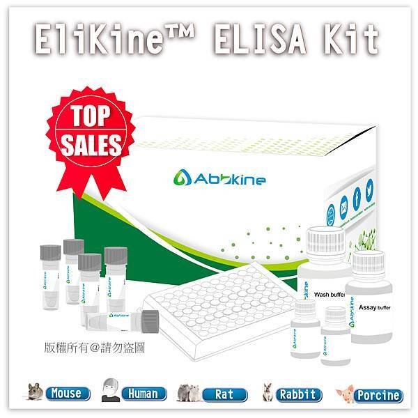 ABBKINE ELISA KIT 繪圖 (物種).jpg