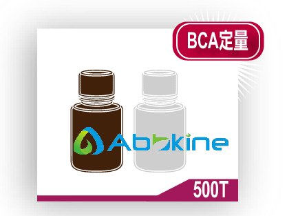 LINE群發 (多頁發文格式) BCA 蛋白定量工作區域 1_工作區域 1.jpg