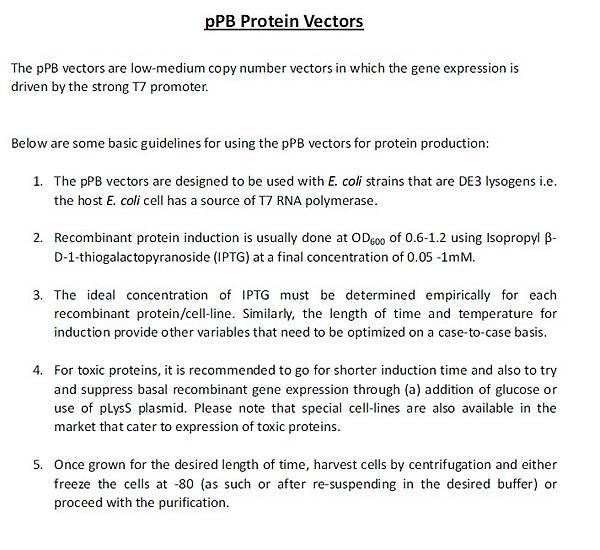 蛋白表現vector指引 (1).jpg