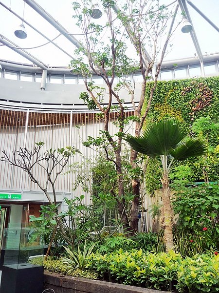 P1130689--1.JPG