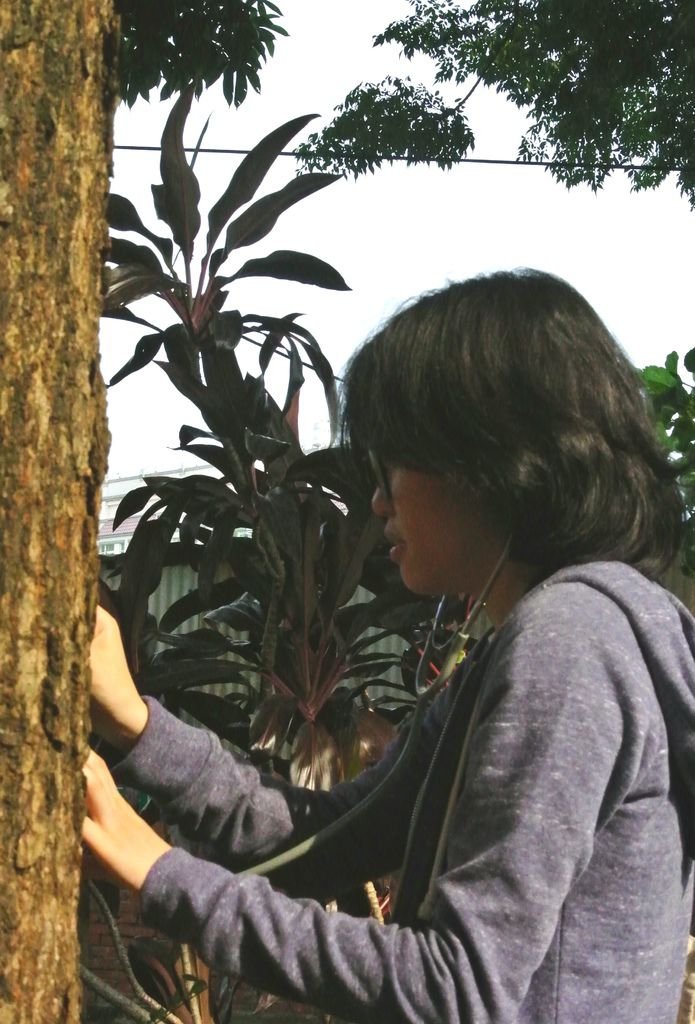 sc003