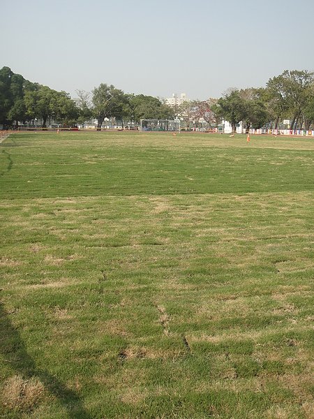 DSC00428.JPG