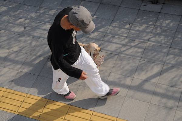 DSC_3894.JPG