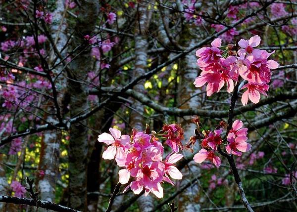 DSC_5606_375