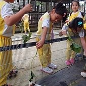 2013秋季旅行 (29).jpg