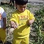 SNV31643.jpg