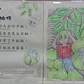 台語童謠-中秋節『台語闖關』特別活動20150924 (7)