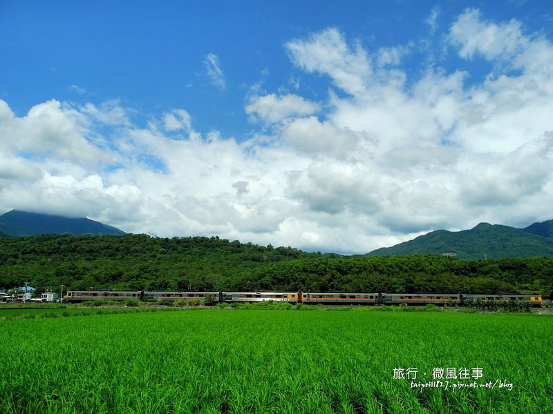 DSCN5636