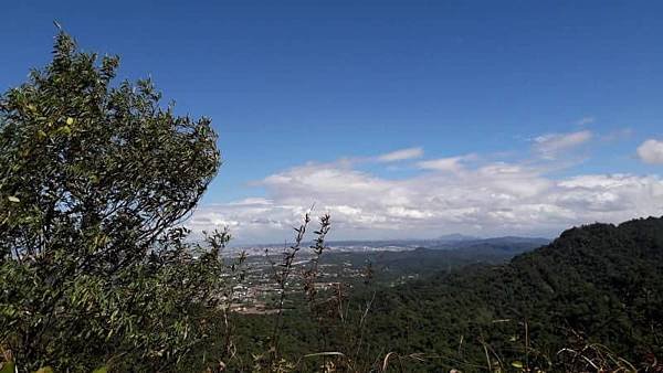 (335大溪區)頭寮山、湳仔溝古道