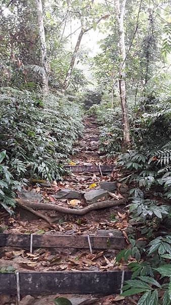20191001_093844.jpg