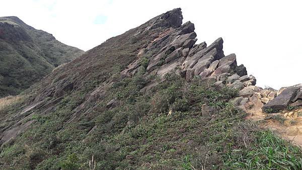 20200123_083735.jpg