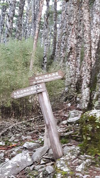 20190823_055614.jpg