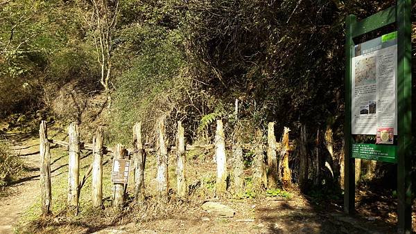 20210319_152847.jpg