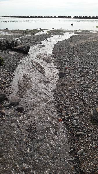 (251淡水區)淡水新景點 三塊厝港灣 新埔海堤 石滬風景區