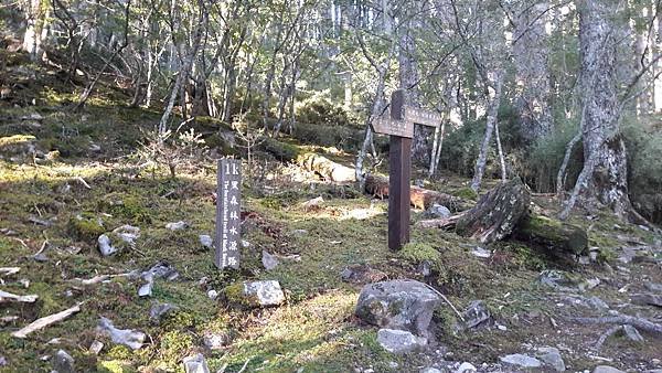 20210901_065951.jpg