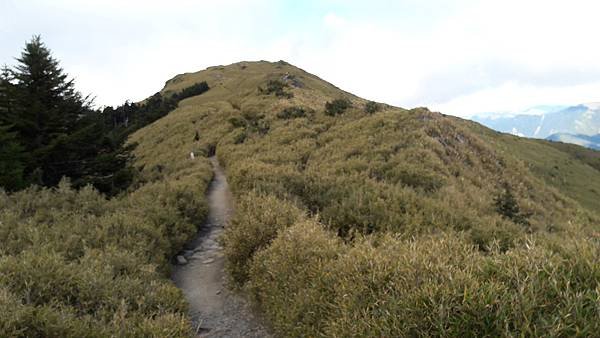 20161208_152341.jpg