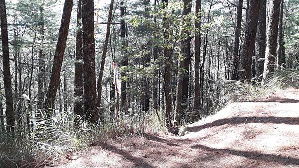 20230225_095138.jpg