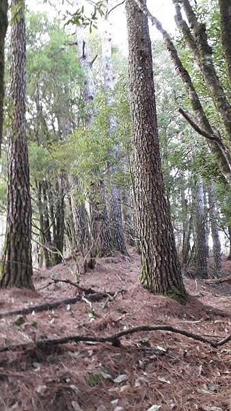 20230226_074947.jpg