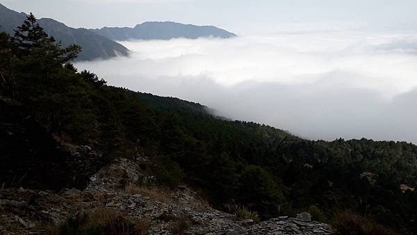 20230226_124824.jpg