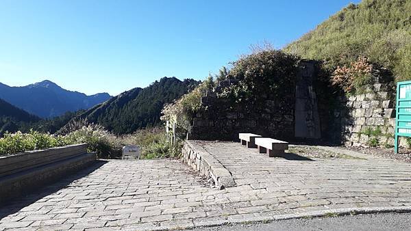 奇萊東稜~泳渡箭竹林的四大障礙之一 挑戰意志力~錦毛鼠 百岳