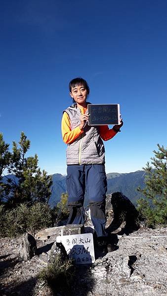 奇萊東稜~泳渡箭竹林的四大障礙之一 挑戰意志力~錦毛鼠 百岳