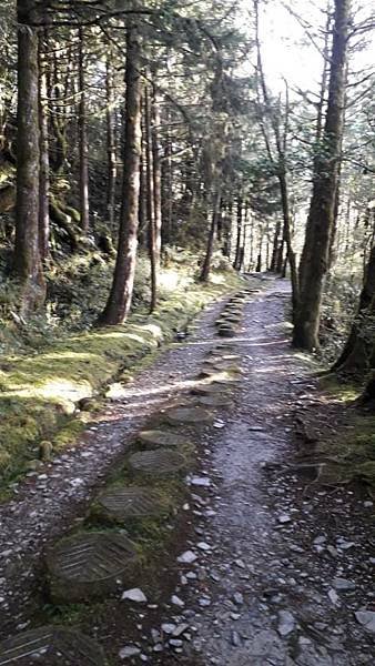 【太平山系】步道彙總 想走的太平山的步道都在這兒