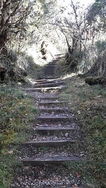 【太平山系】步道彙總 想走的太平山的步道都在這兒