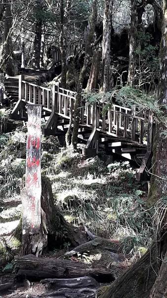 【太平山系】步道彙總 想走的太平山的步道都在這兒